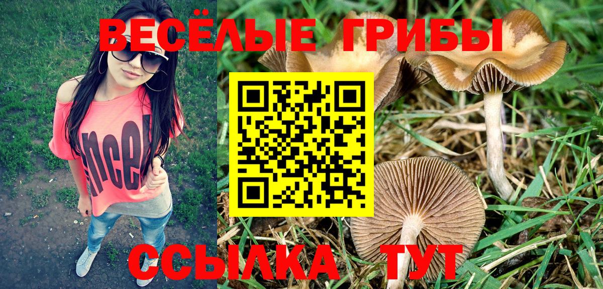 Галлюциногенные грибы GOLDEN TEACHER Шатура