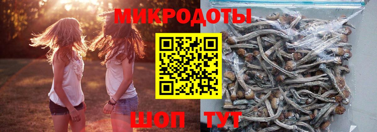 Галлюциногенные грибы мухоморы  Галлюциногенные грибы ЛСД  Шатура  Вход с VPN 